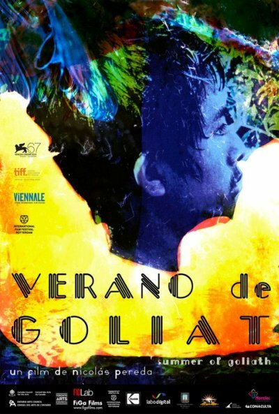 Лето Голиафа (2010) постер