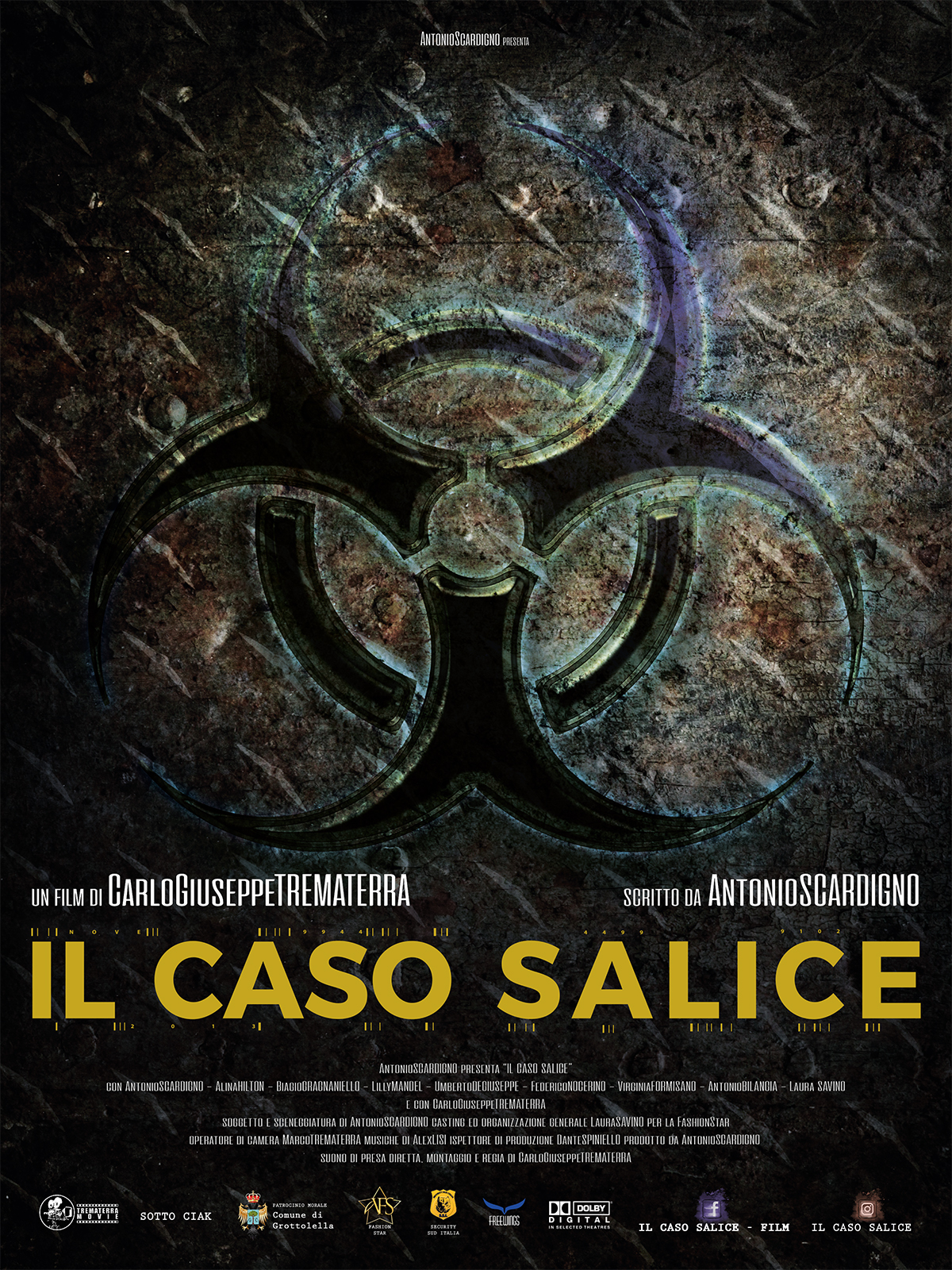 Il caso Salice (2020) постер