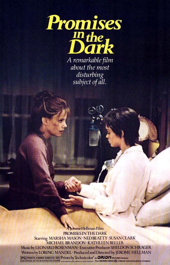 Обещания в темноте (1979) постер