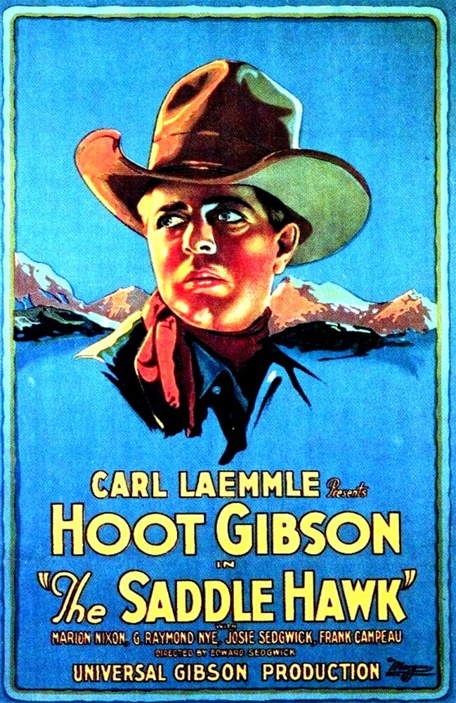 The Saddle Hawk (1925) постер