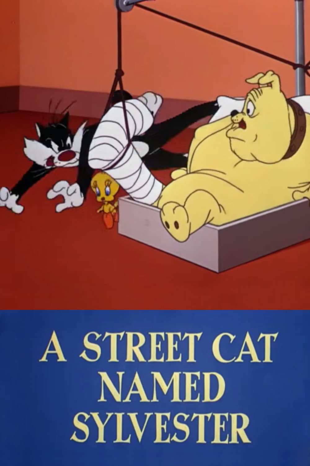 A Street Cat Named Sylvester (1953) постер