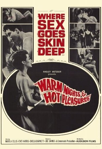 Warm Nights and Hot Pleasures (1964) постер