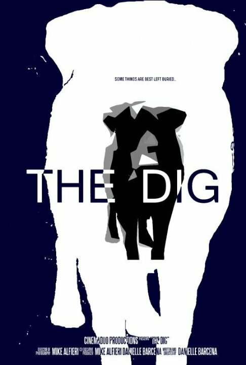 The Dig (2015) постер