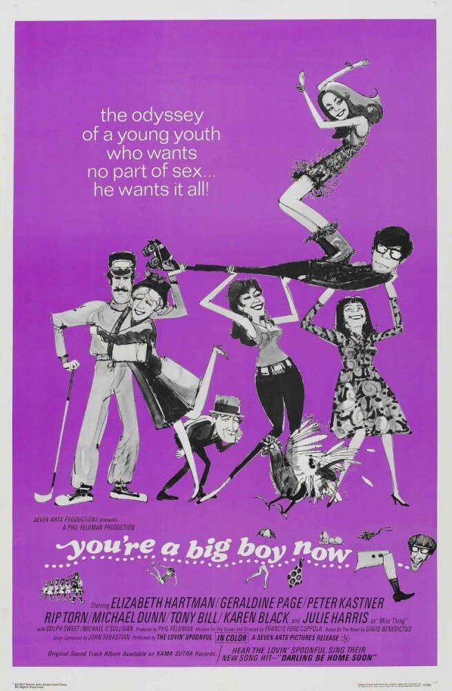 Ты теперь большой мальчик (1966) постер