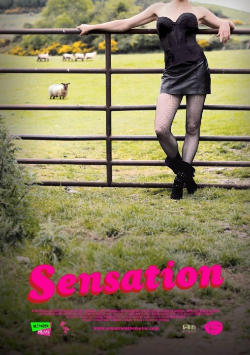 Сенсация (2010) постер