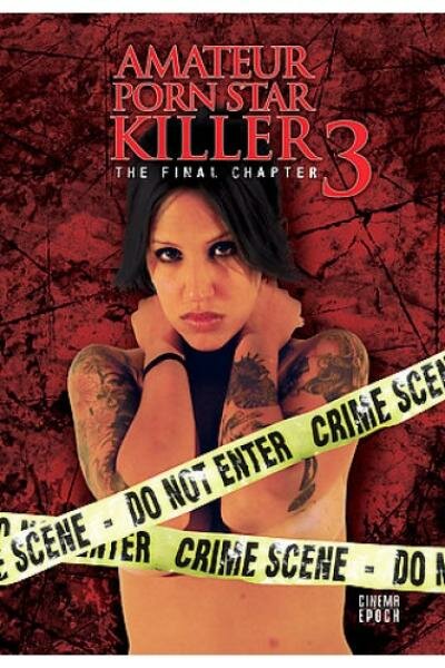 Убийца порнозвезды-любительницы 3: Последняя глава (2009) постер