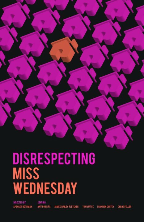 Disrespecting Miss Wednesday (2015) постер