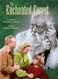 The Enchanted Forest (1945) постер