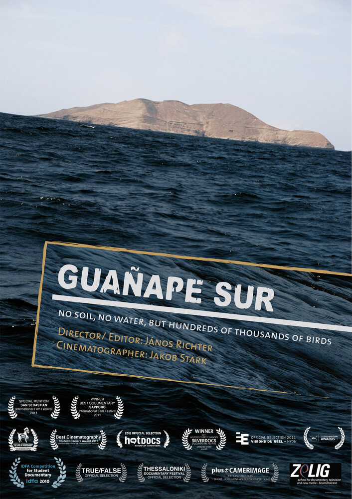 Гуанапе Сур (2010) постер