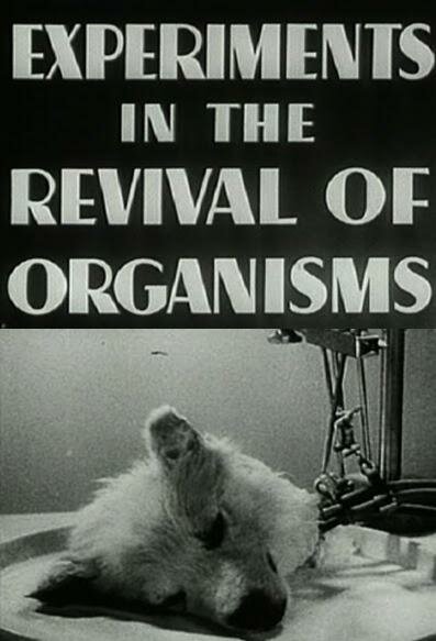 Эксперименты по оживлению организмов (1940) постер