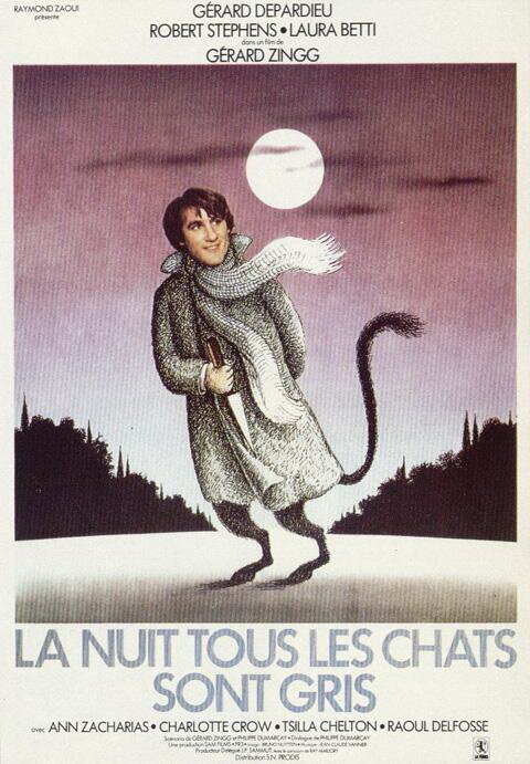 Ночью все кошки серы (1977) постер