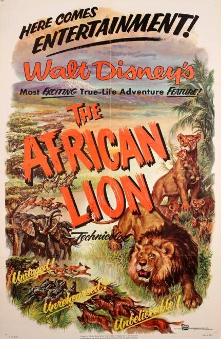 Африканский лев (1955) постер