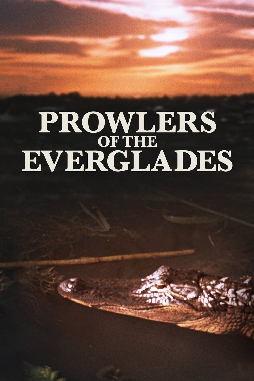 Prowlers of the Everglades (1953) постер
