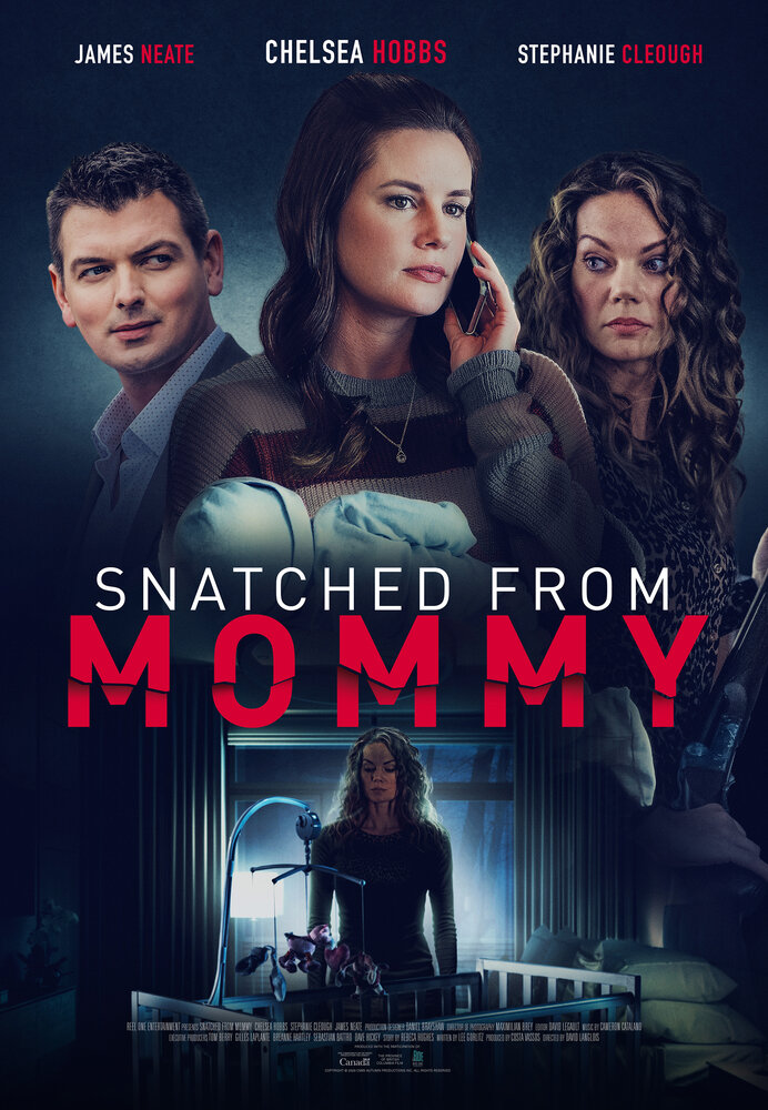 Snatched from Mommy (2021) постер