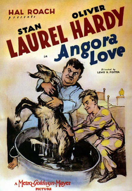 Ангорская любовь (1929) постер