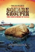 Square Grouper (2011) постер