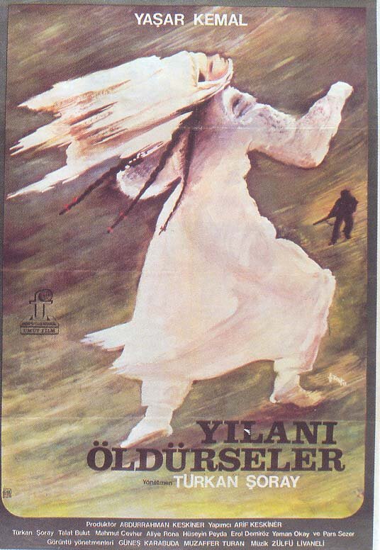 Если убить змею (1981) постер