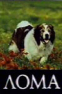 Лома (1986) постер