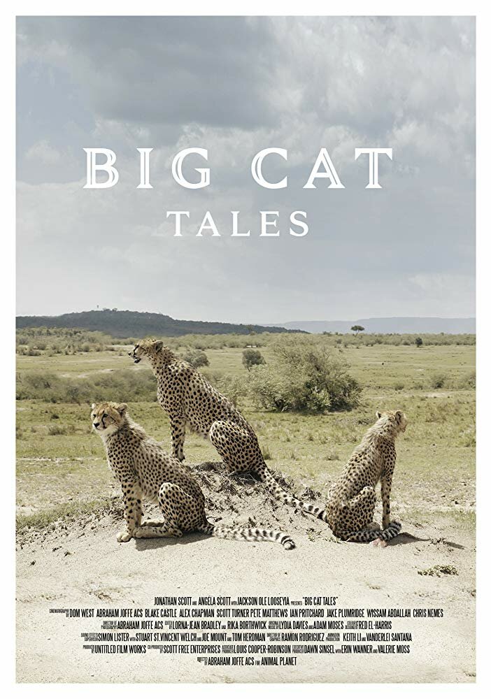 Big Cat Tales (2018) постер