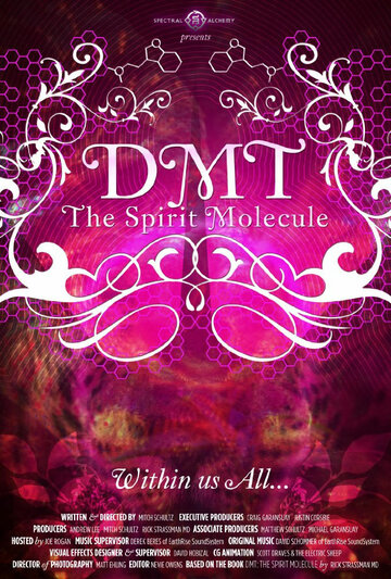 ДМТ: Молекула духа (2010)